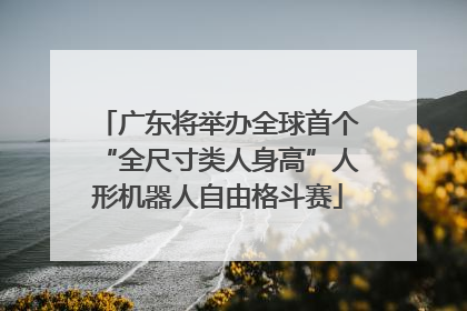 广东将举办全球首个“全尺寸类人身高”人形机器人自由格斗赛